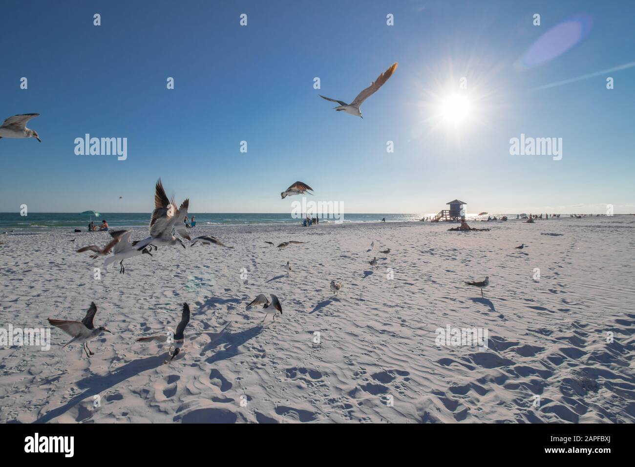 Spiaggia della Florida Foto Stock