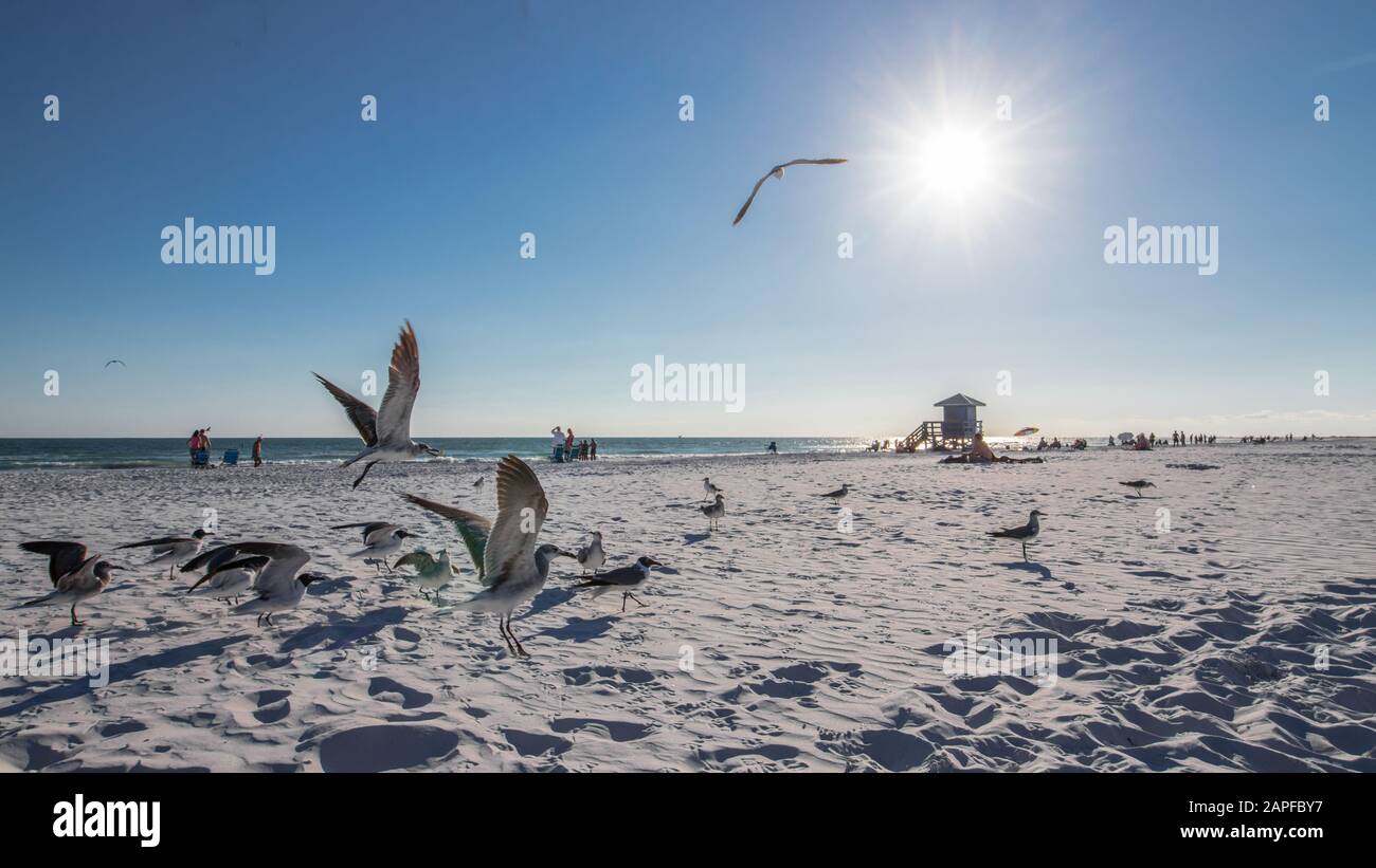 Spiaggia della Florida Foto Stock