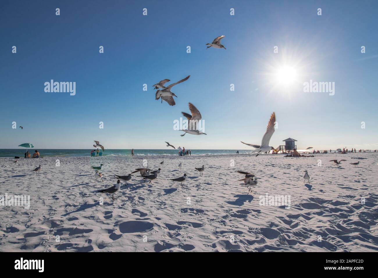 Spiaggia della Florida Foto Stock