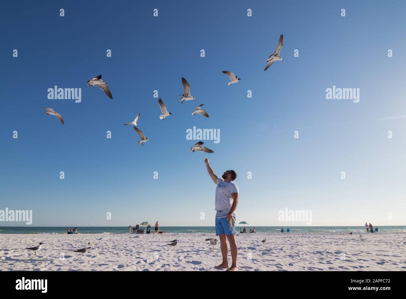 Spiaggia della Florida Foto Stock