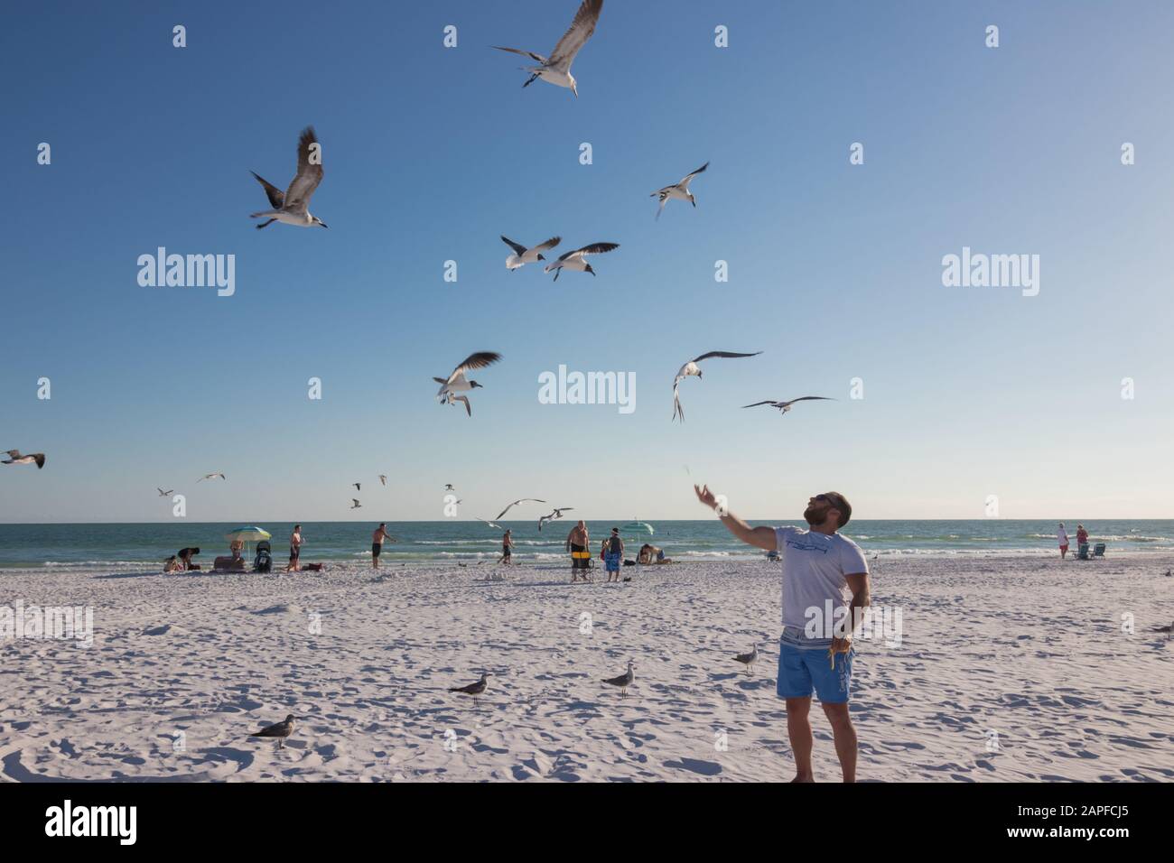 Spiaggia della Florida Foto Stock