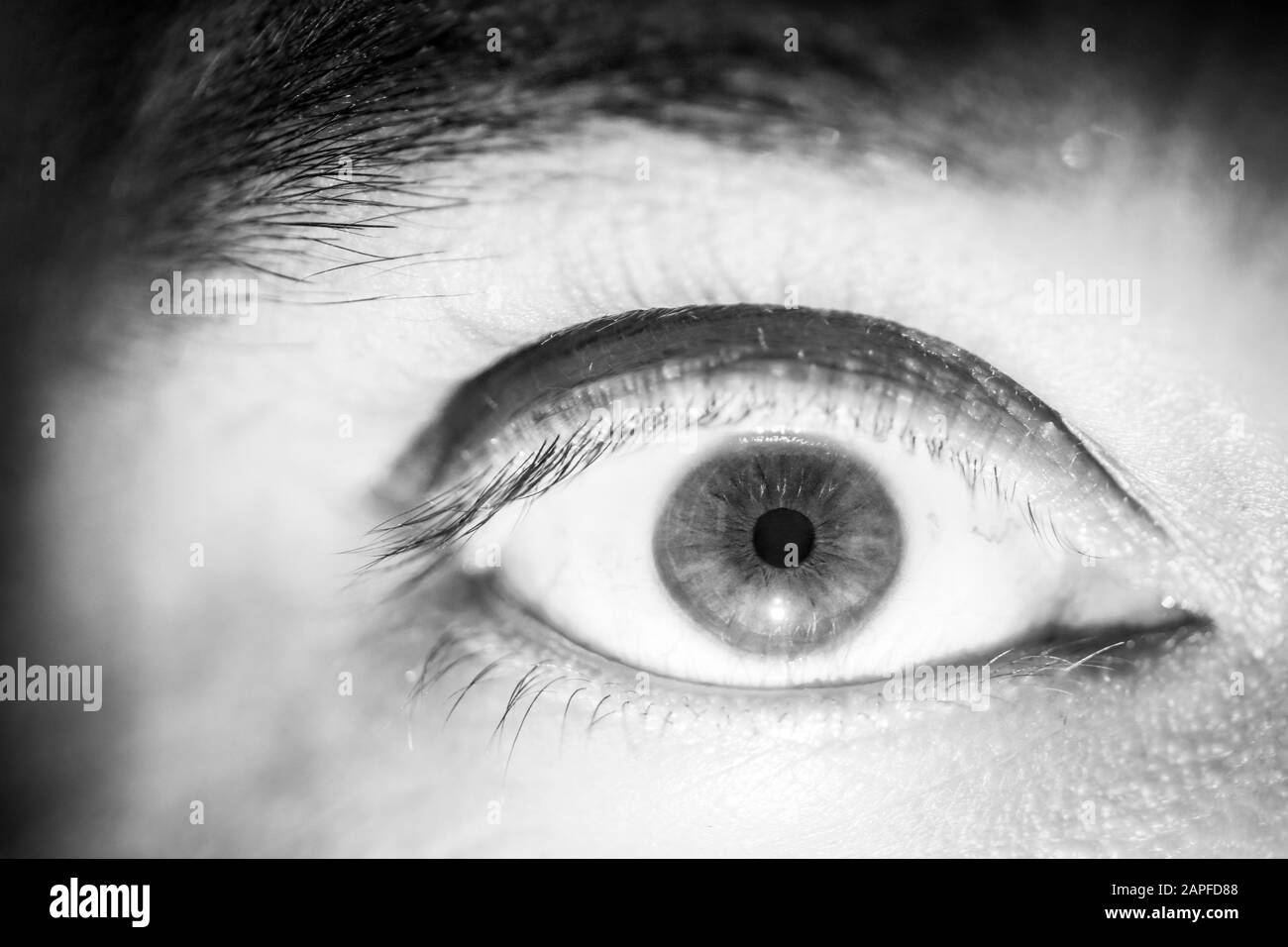 Macro immagine in bianco e nero con l'occhio marrone di un uomo Foto Stock