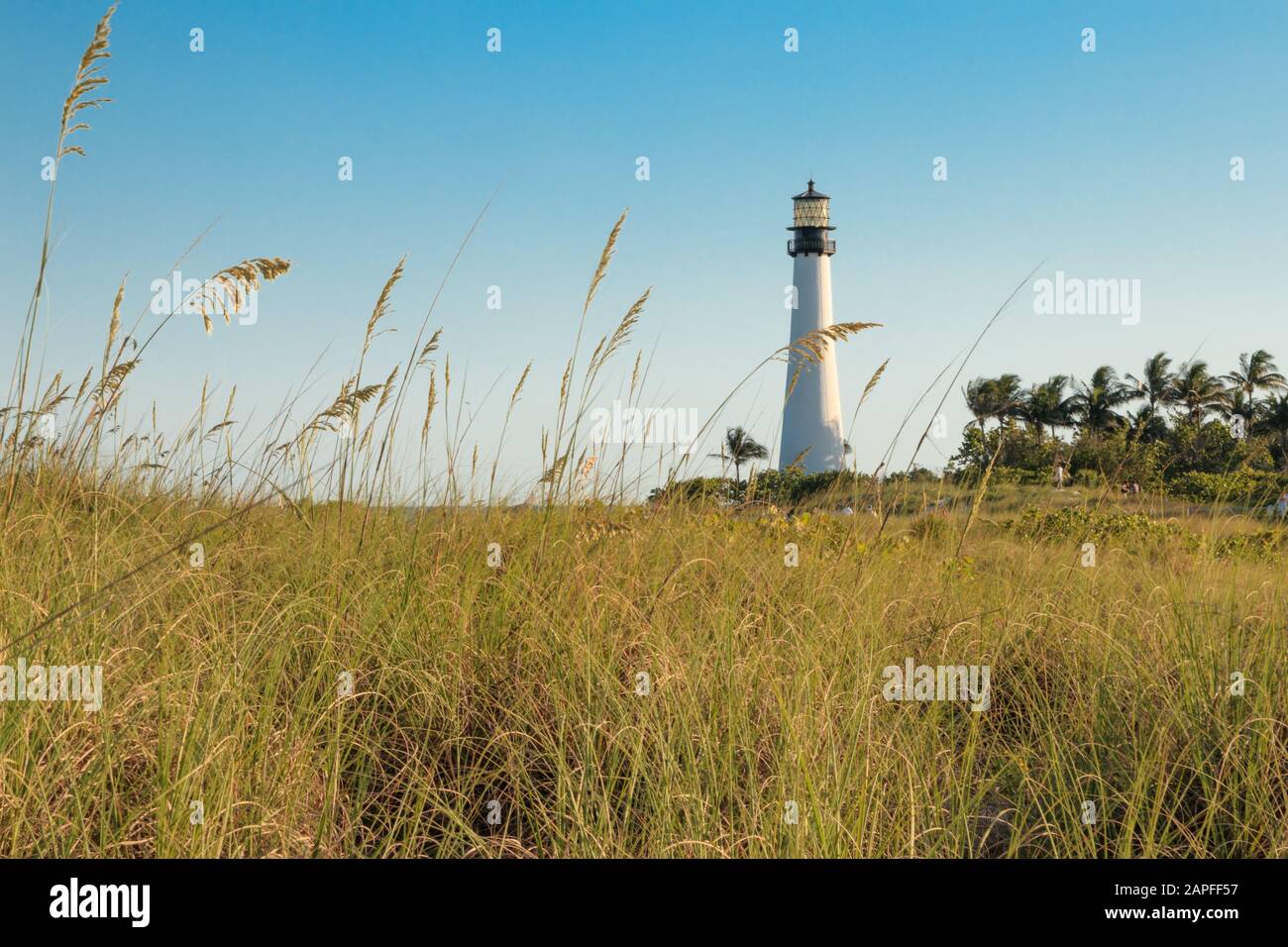 Spiaggia della Florida Foto Stock