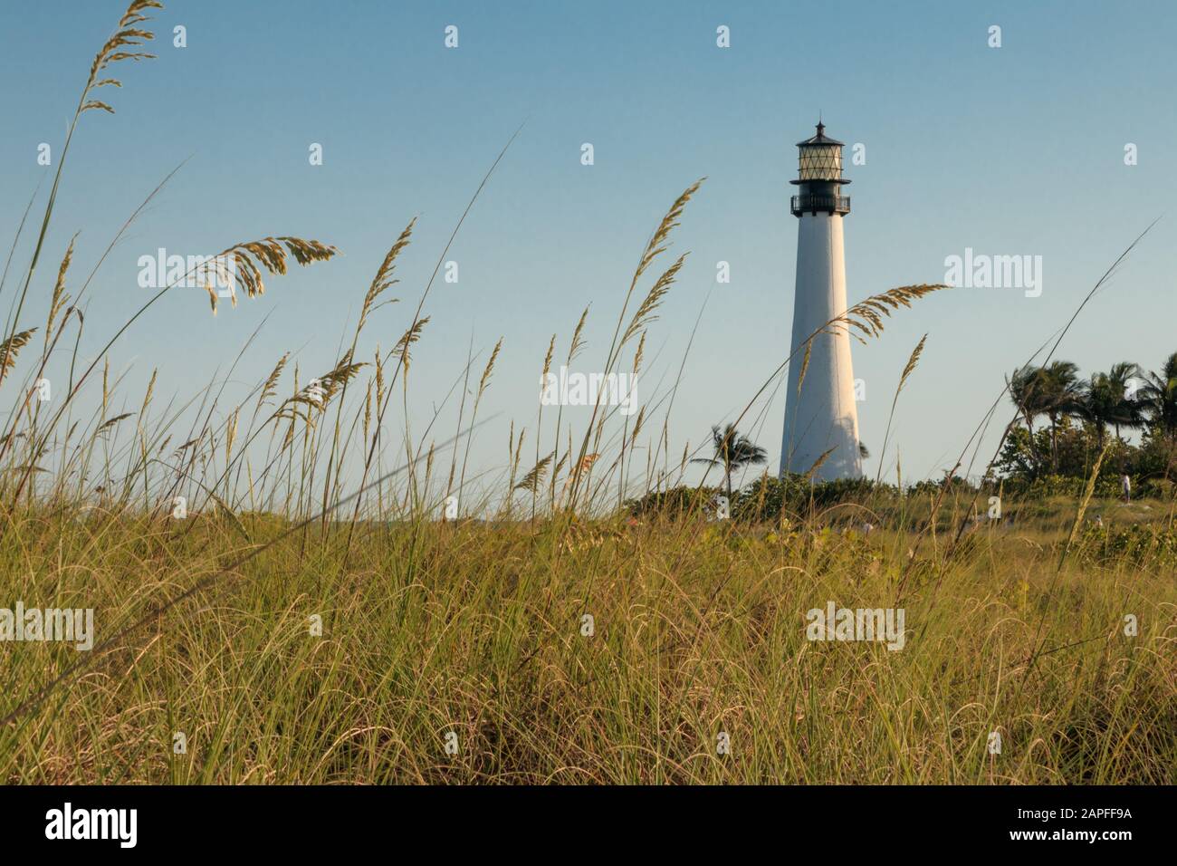 Spiaggia della Florida Foto Stock