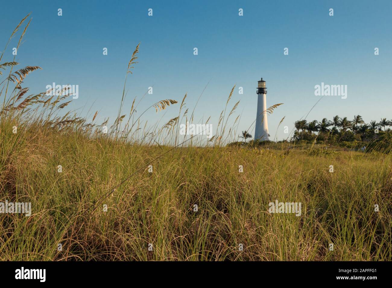 Spiaggia della Florida Foto Stock