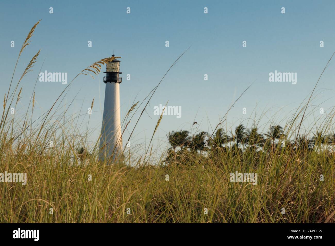 Spiaggia della Florida Foto Stock