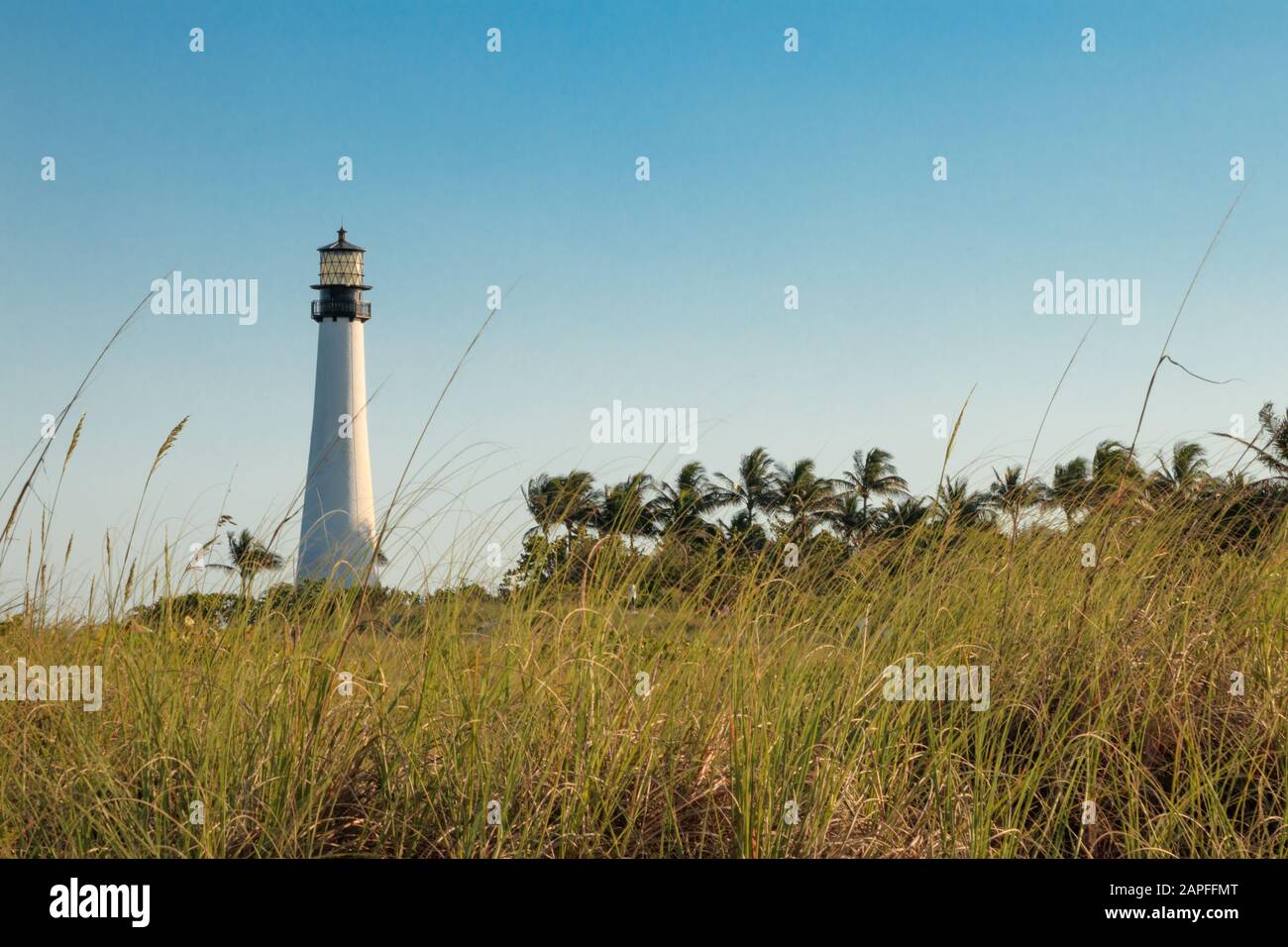 Spiaggia della Florida Foto Stock