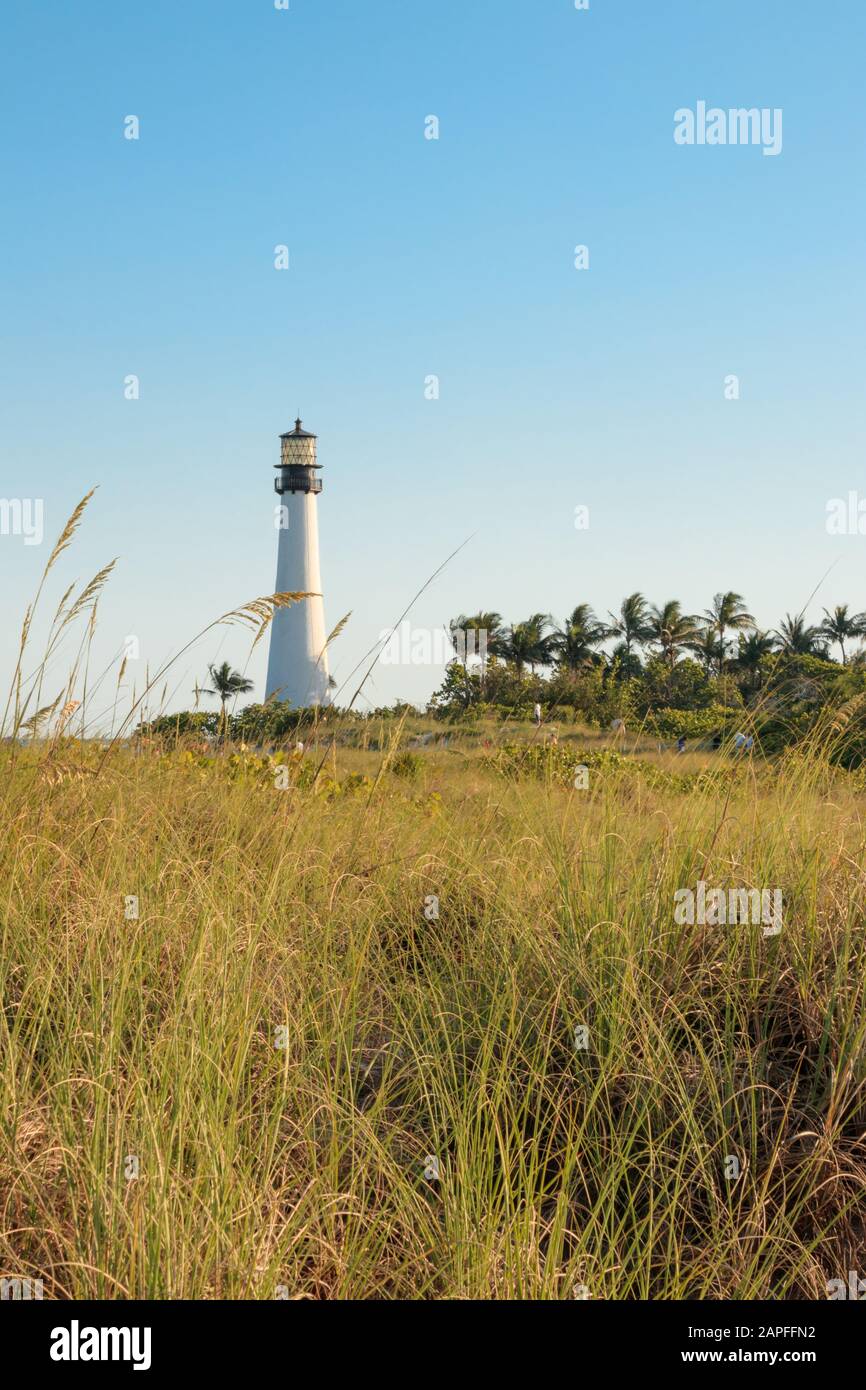 Spiaggia della Florida Foto Stock