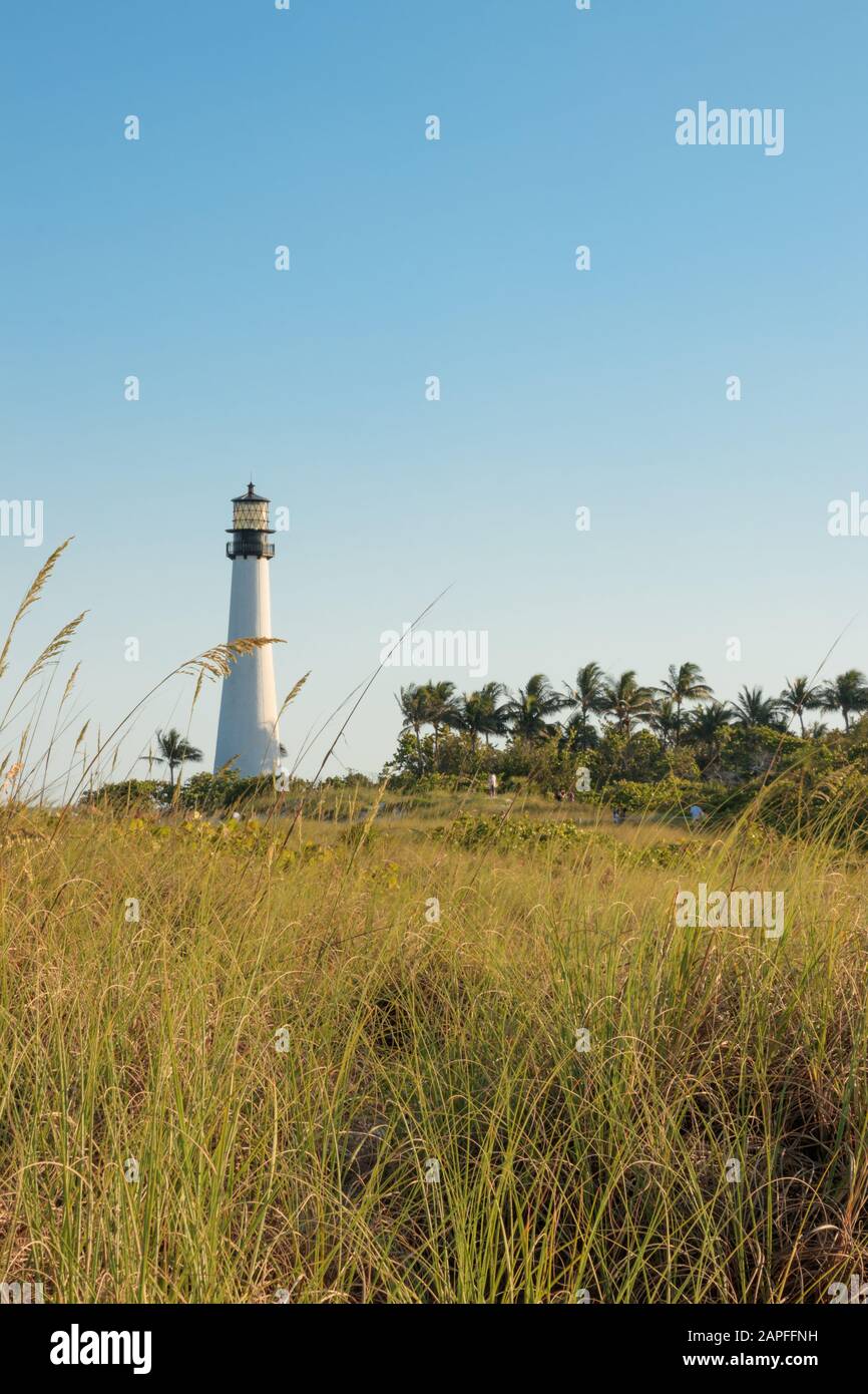 Spiaggia della Florida Foto Stock
