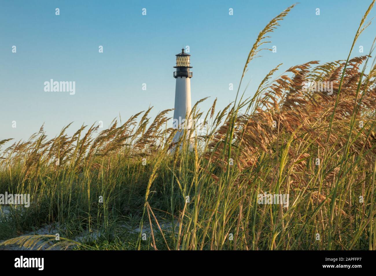 Spiaggia della Florida Foto Stock