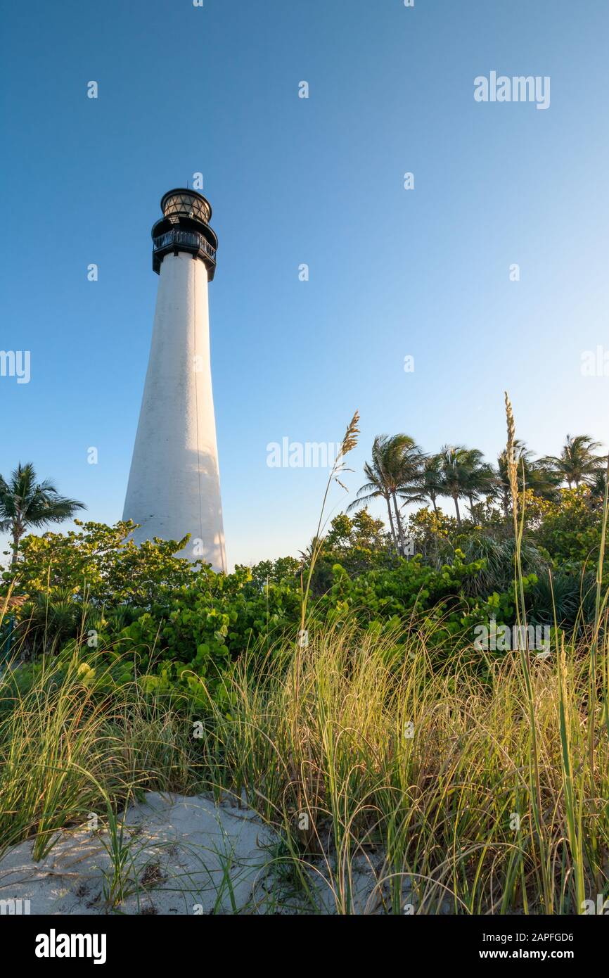 Spiaggia della Florida Foto Stock