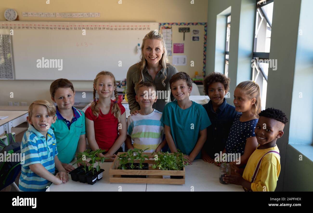 Insegnante femminile intorno ad una scatola di piante per una lezione di studio di natura in una scuola elementare classe Foto Stock