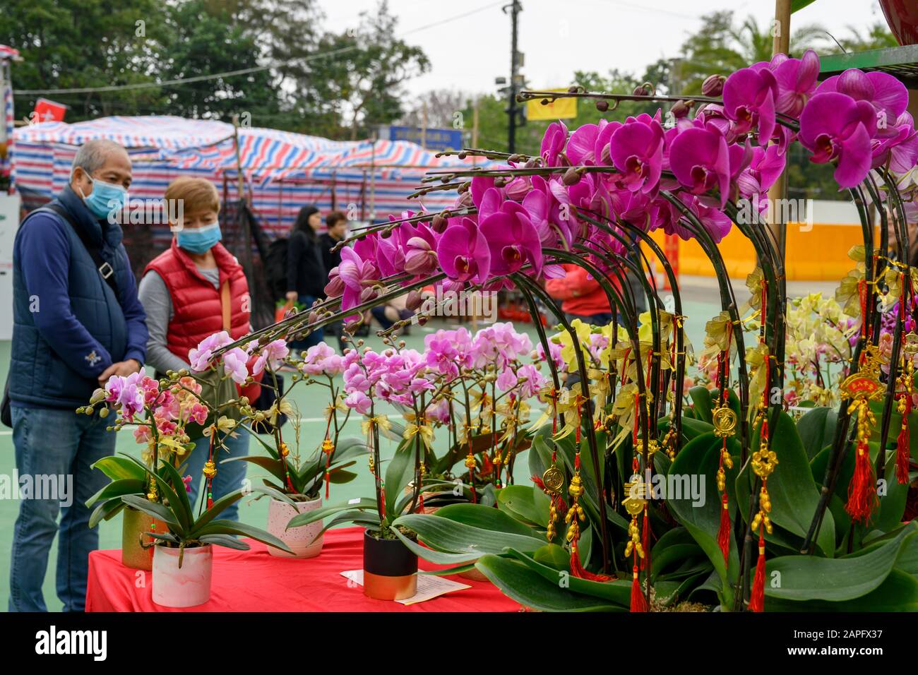 Hong Kong. 22rd Gen 2020. Victoria Park Lunar Nuovo Anno Mercato Dei Fiori. Gli acquirenti di Hong Kong indossano un intervento chirurgico a causa della minaccia del coronavirus di Wuhan. Foto Stock