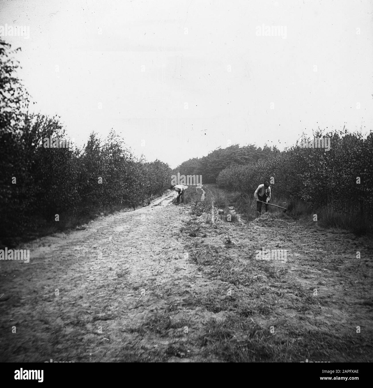 Fireproof Data: Parole Chiave dense: Lavoratori, selvicoltura, incendio forestale, strade forestali Foto Stock