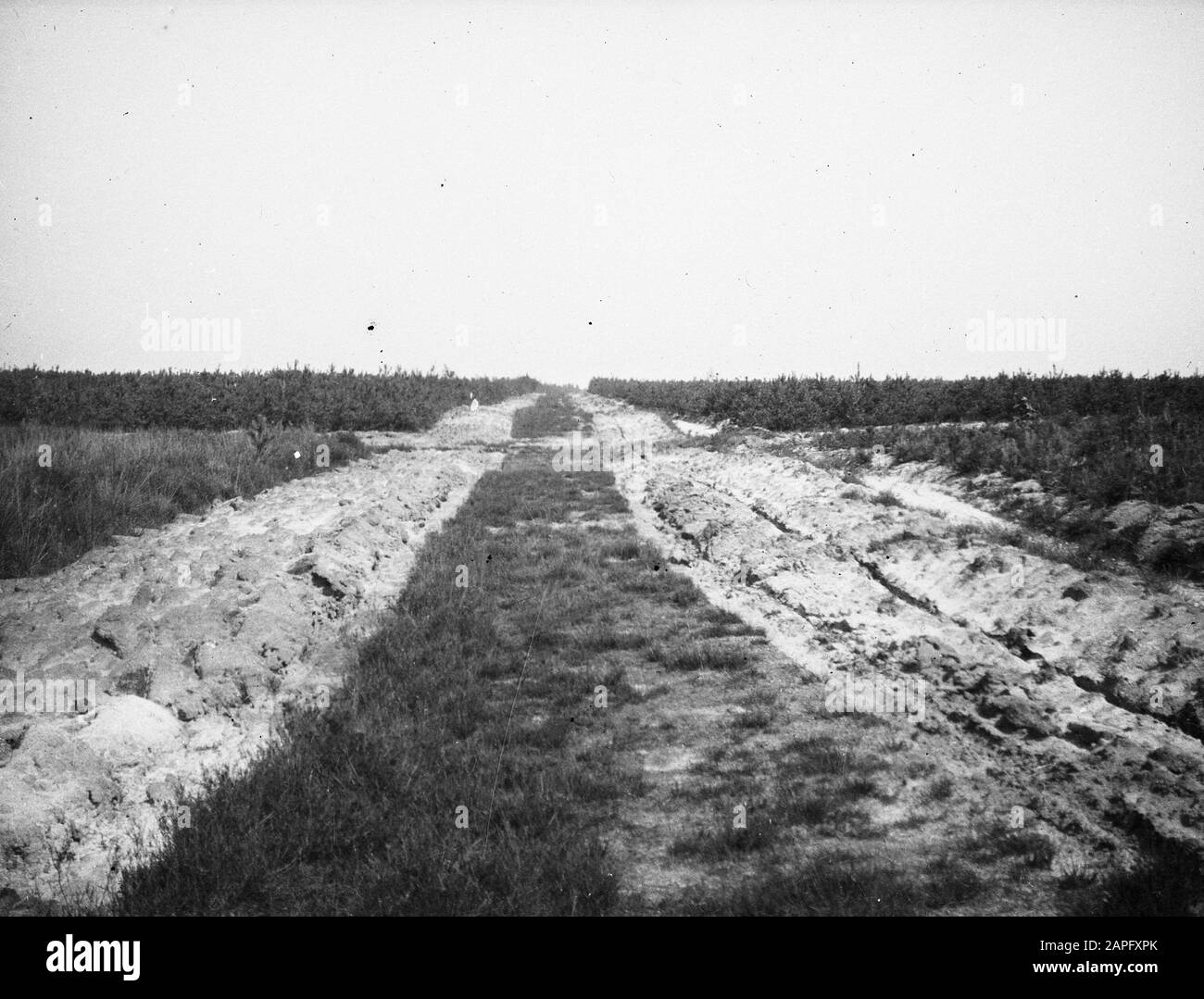 Foreste, incendi boschivi, strade tagliafuoco, Deurne Data: Unundated luogo: Deurne Parole Chiave: Foreste, incendi boschivi, strade tagliafuoco Foto Stock