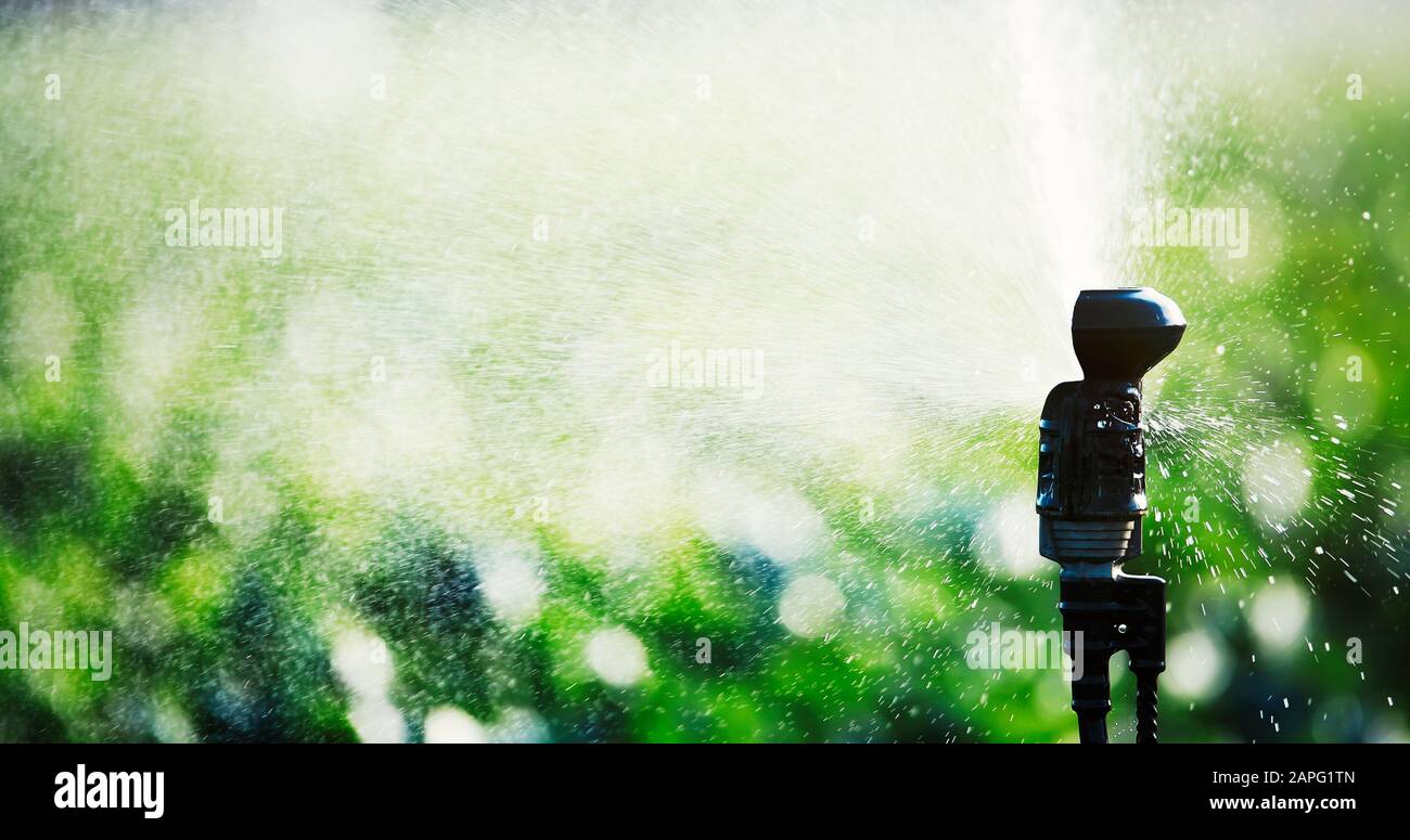 Impianto di irrigazione in funzione di irrigazione di piante agricole Foto Stock