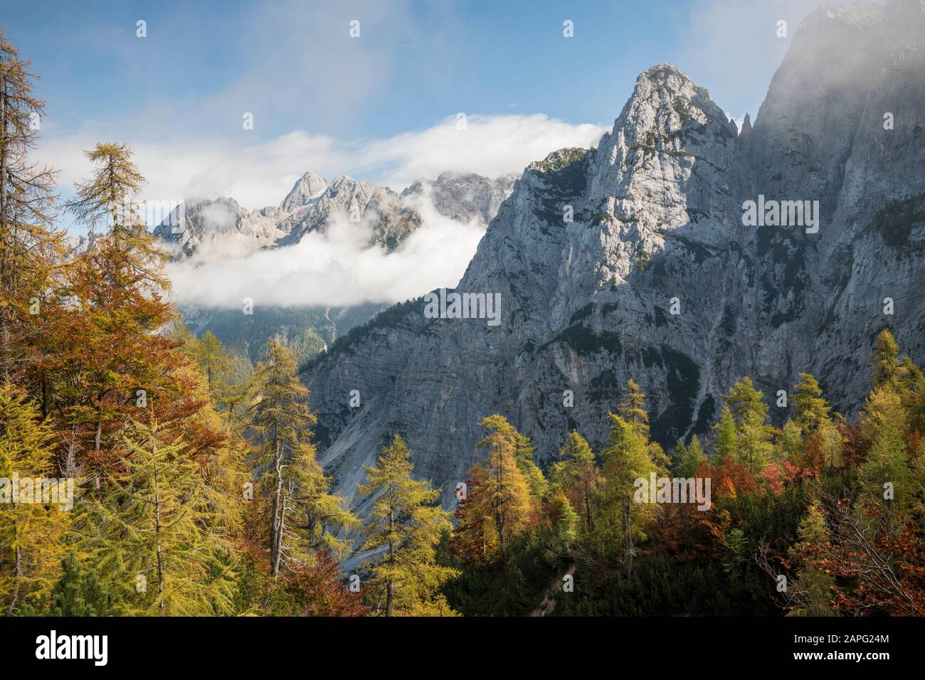 Vista Panoramica Sulle Alpi Giulie, Sul Passo Vrsic, Sul Parco Nazionale Del Triglav, Sull'Alta Carniola, Slovenia Foto Stock