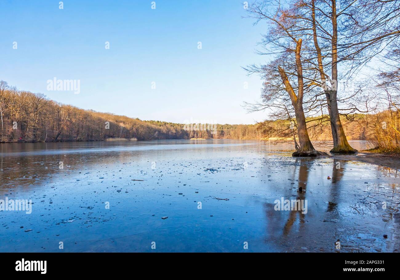 Vista invernale sul lago di Schlachtensee a Berlino, Germania. Schlachtensee è un lago situato nella zona sud-occidentale di Berlino, a Steglitz-Zehlendorf, sul confine Foto Stock