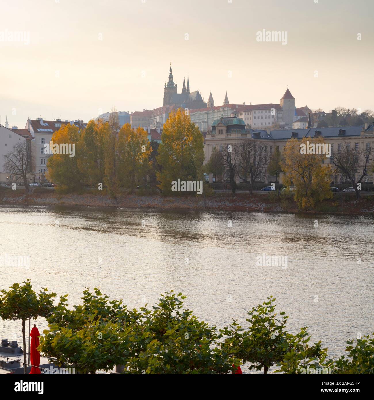 Cattedrale di San Vito, il Castello di Praga, Boemia, Repubblica Ceca, Europa Foto Stock