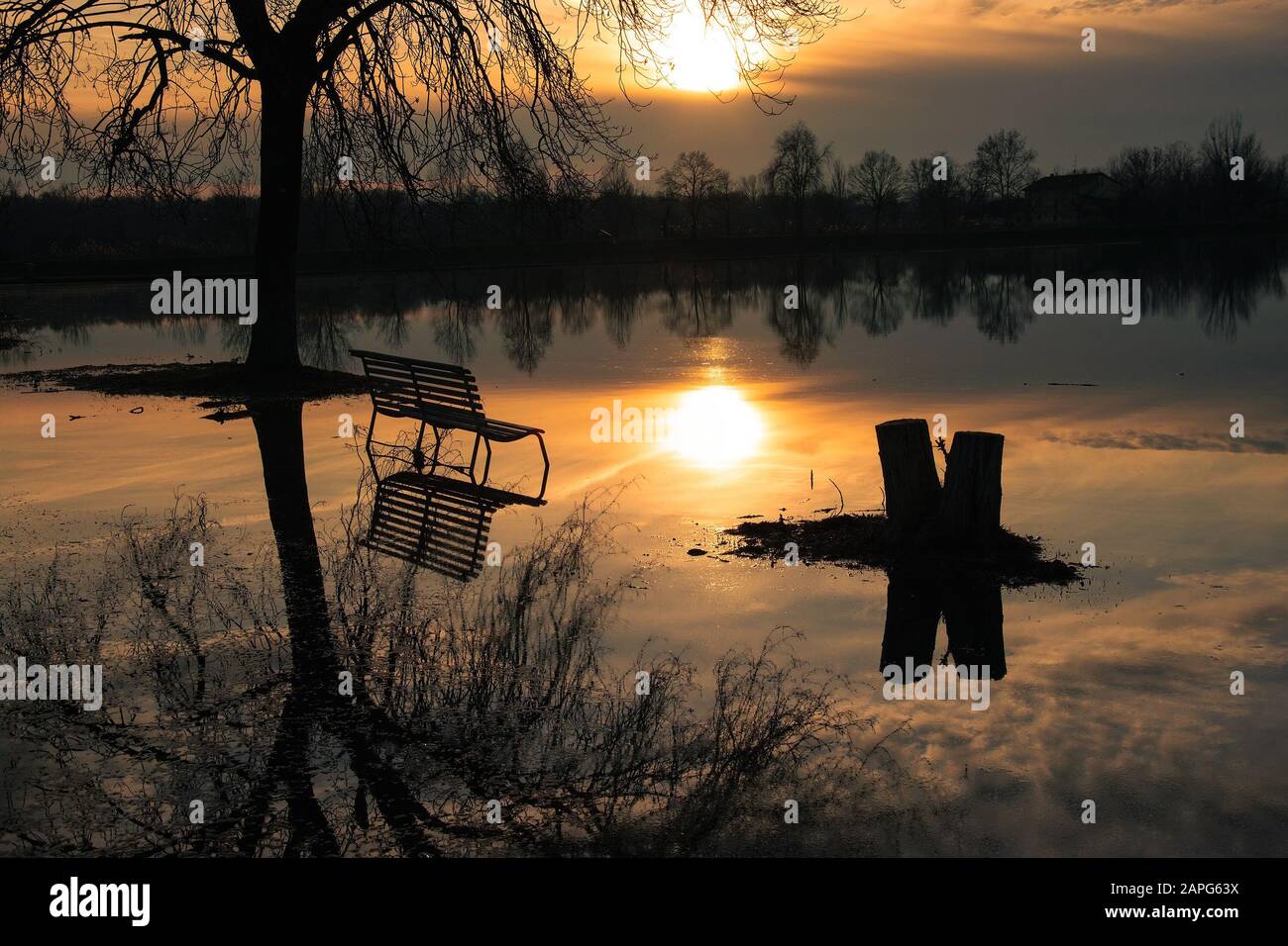 Una panca e un albero sull'acqua durante un'alluvione Foto Stock