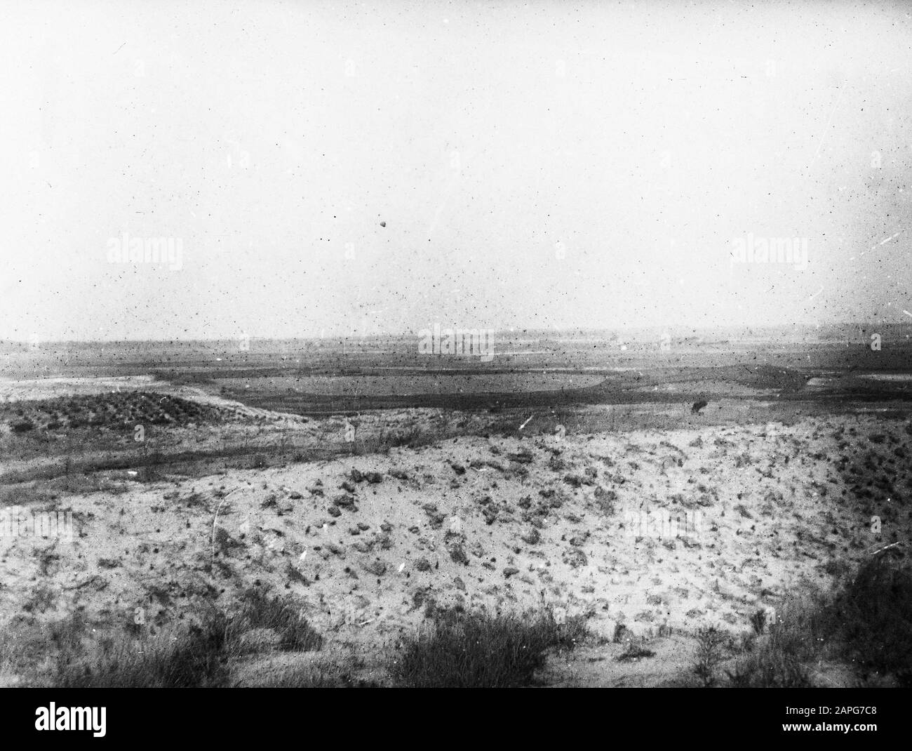 Selvicoltura, spruzzatura di sabbia, selvicoltura, erica, Wellerloij, Montagne Data: Undated luogo: Montagne Parole Chiave: Silvicoltura, silvicoltura, erica, spruzzatura di sabbia Nome persona: Welerloooij Foto Stock