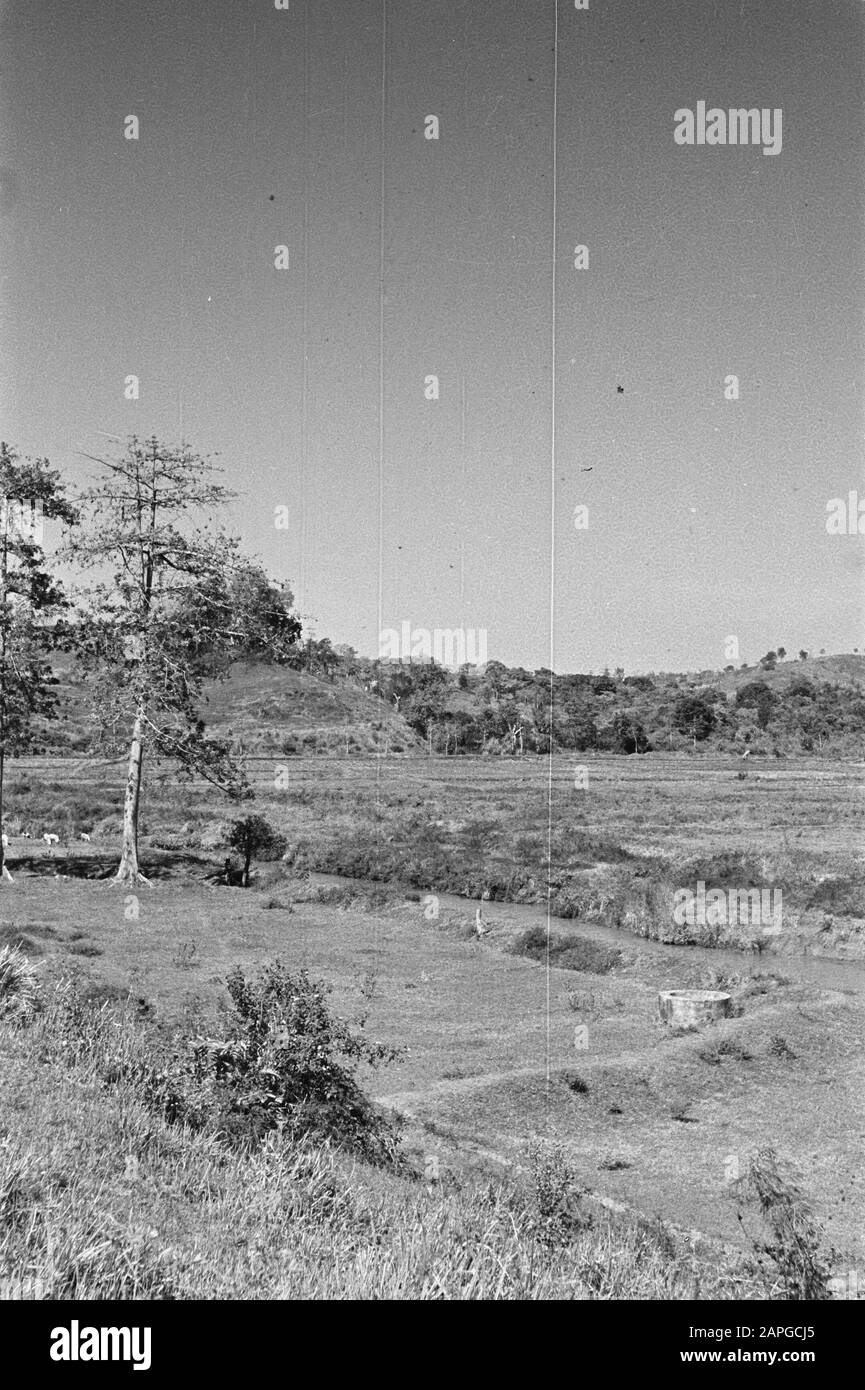 Foto natura Descrizione: Collezione raccolta fotografica Servizio per Army Contatti Indonesia, numero di fotoni 261-2-1 Data: 1947/01/01 luogo: Indonesia, Indie Orientali Olandesi Foto Stock