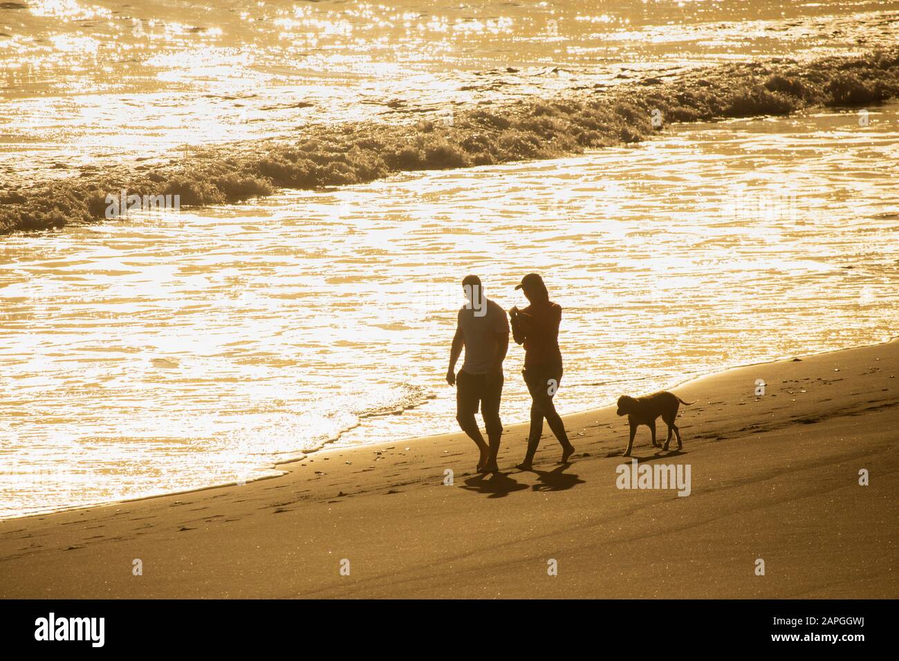 Camminatori del cane. Coppia cane a piedi sulla spiaggia in Spagna Foto Stock