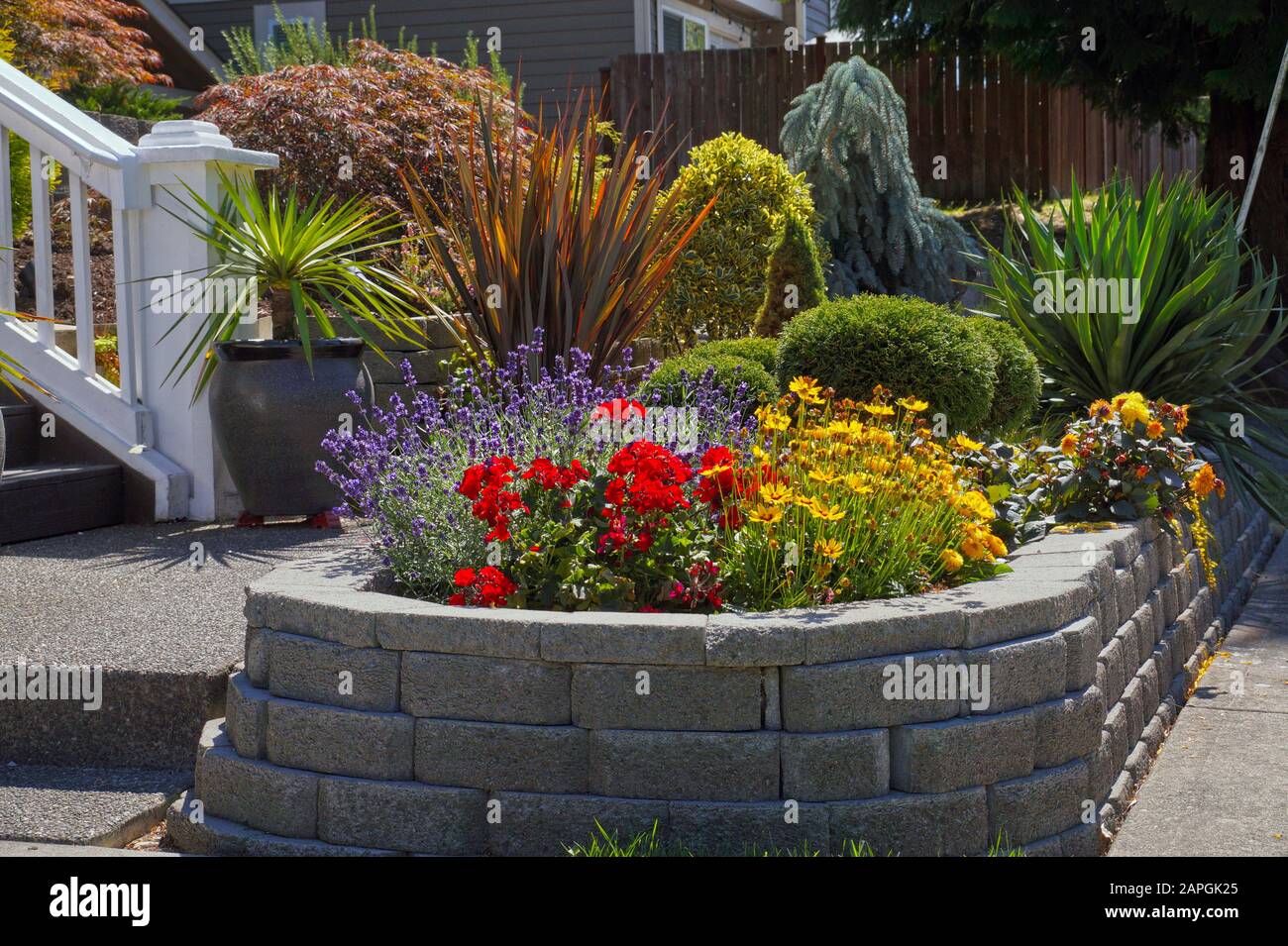 Mini giardino piantato con varie piante. Ingresso alla casa. Foto Stock