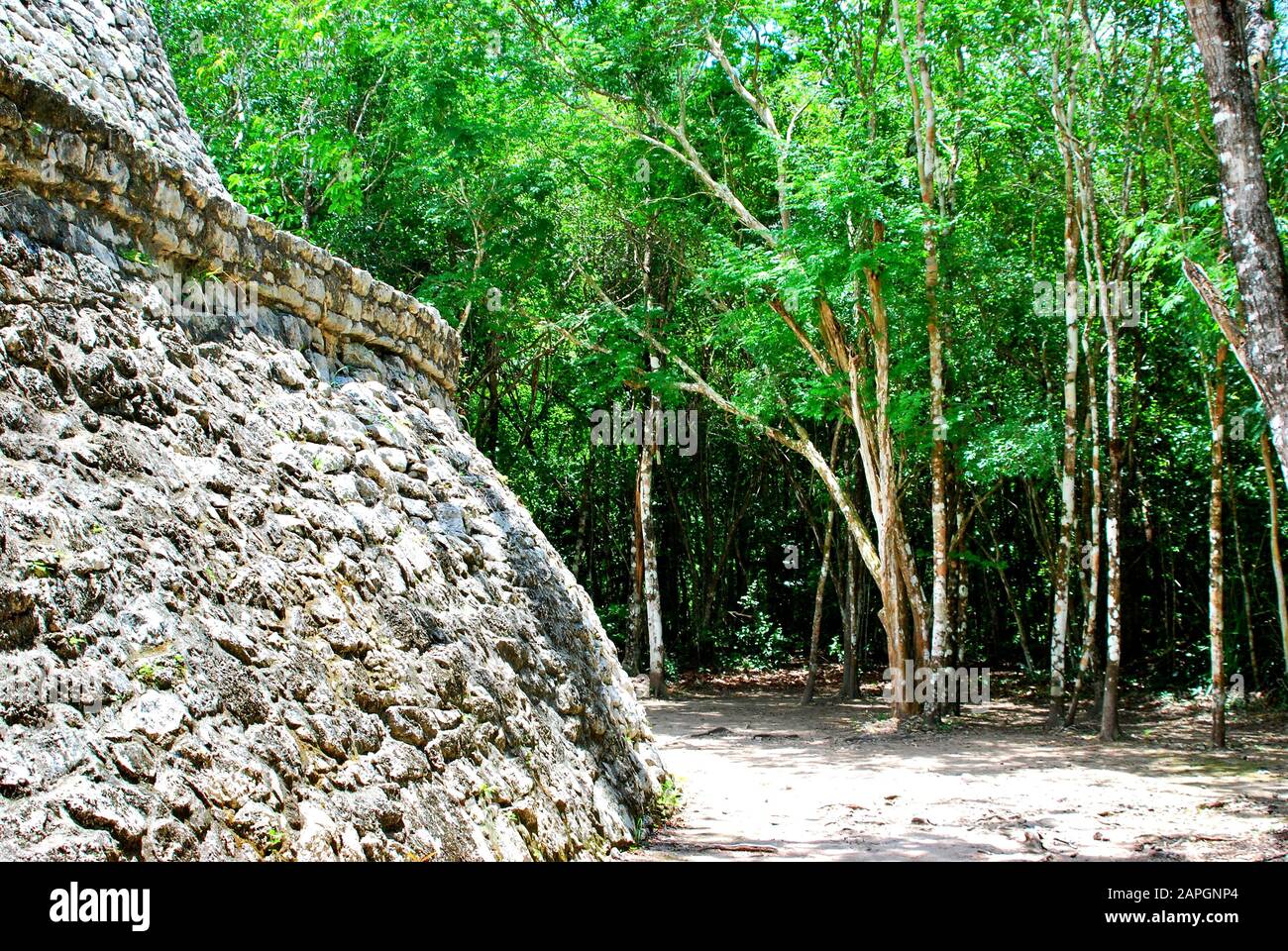 Cobá, Messico Foto Stock