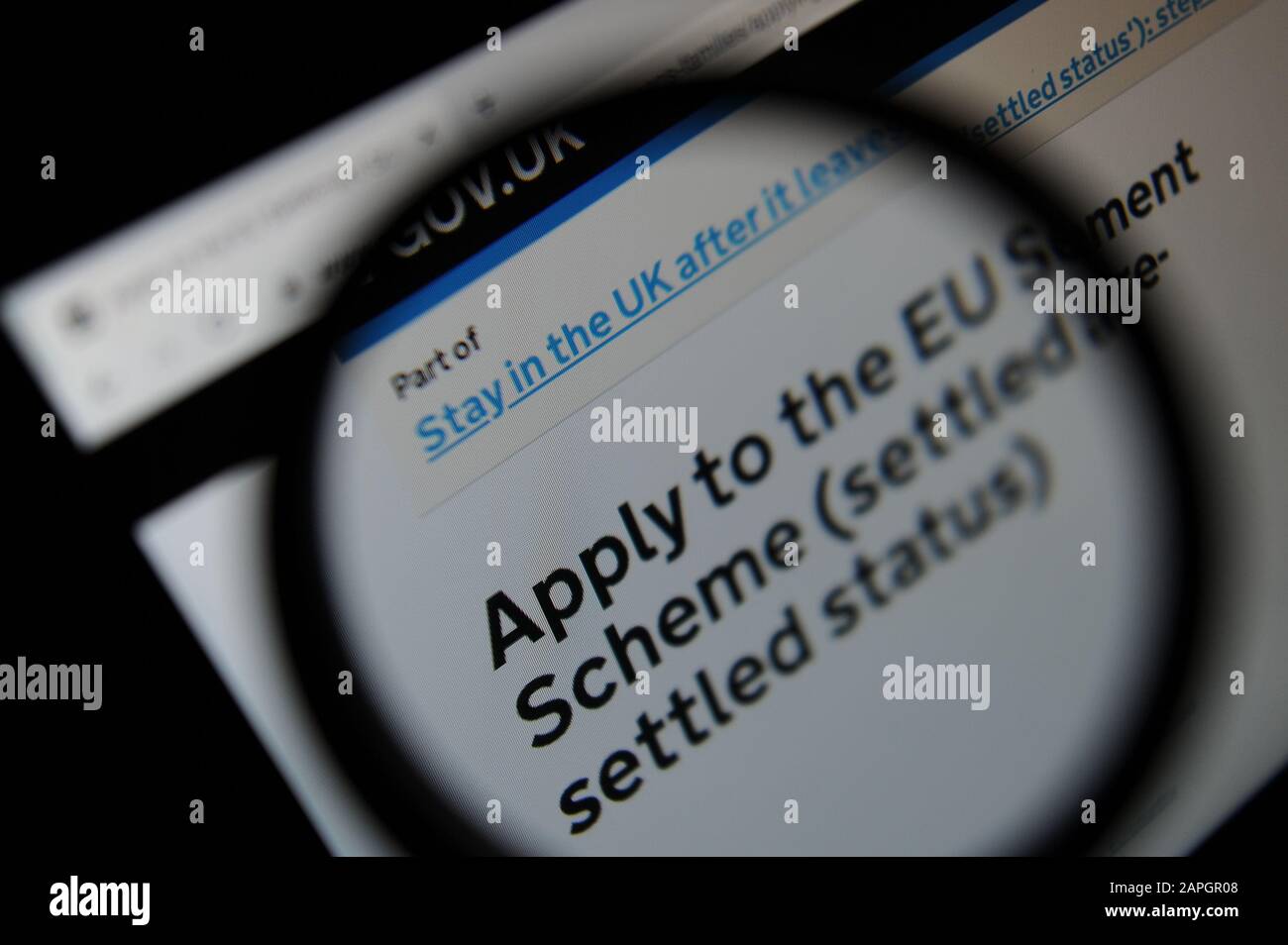 Consulenza sulla Domanda di Adesione al programma di regolamento UE, vista attraverso una lente d'ingrandimento sul sito web del governo britannico Foto Stock