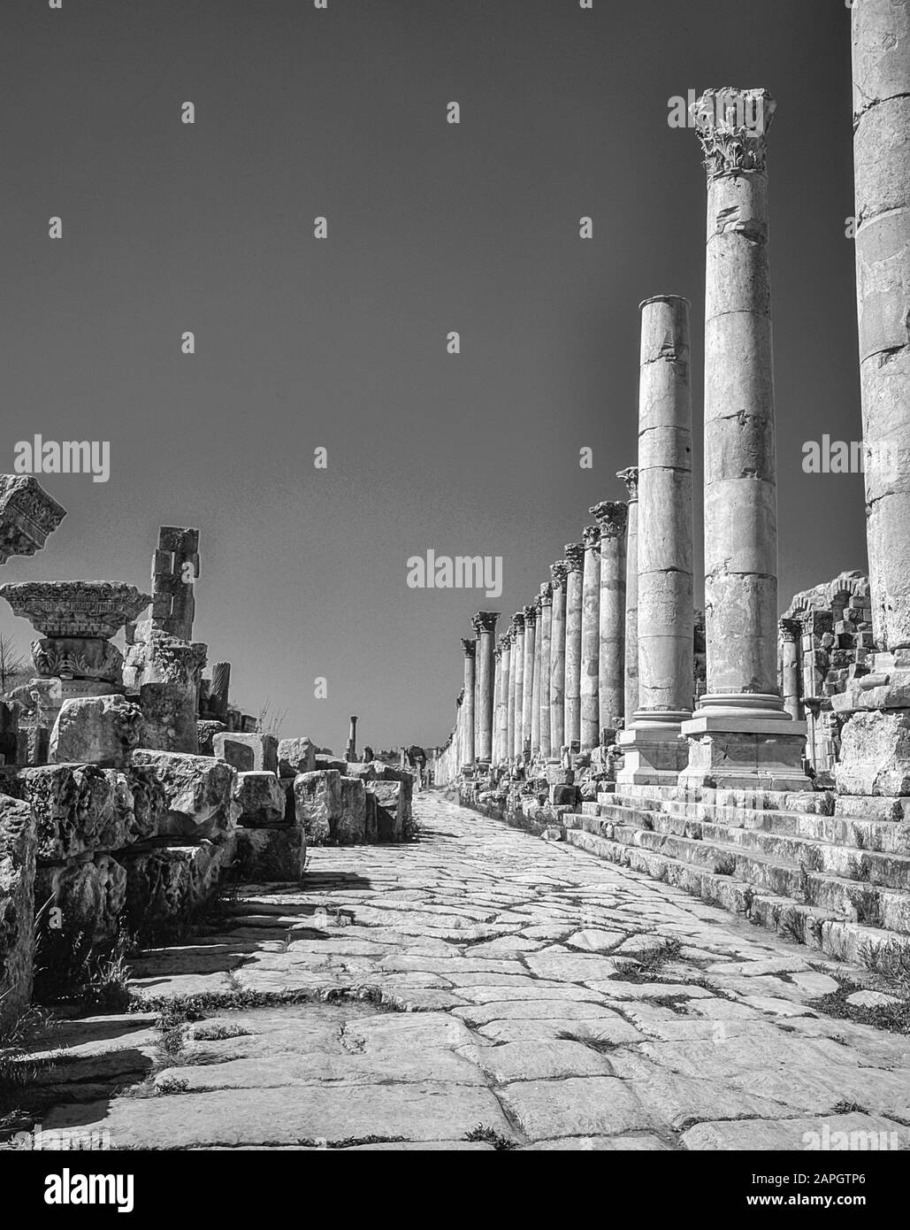 Giordania. Colonnati in pietra liberi in monocromia sulla via principale dell'antica città romana di Jerash, non lontano dalla capitale della Giordania di Amman in Medio Oriente Foto Stock