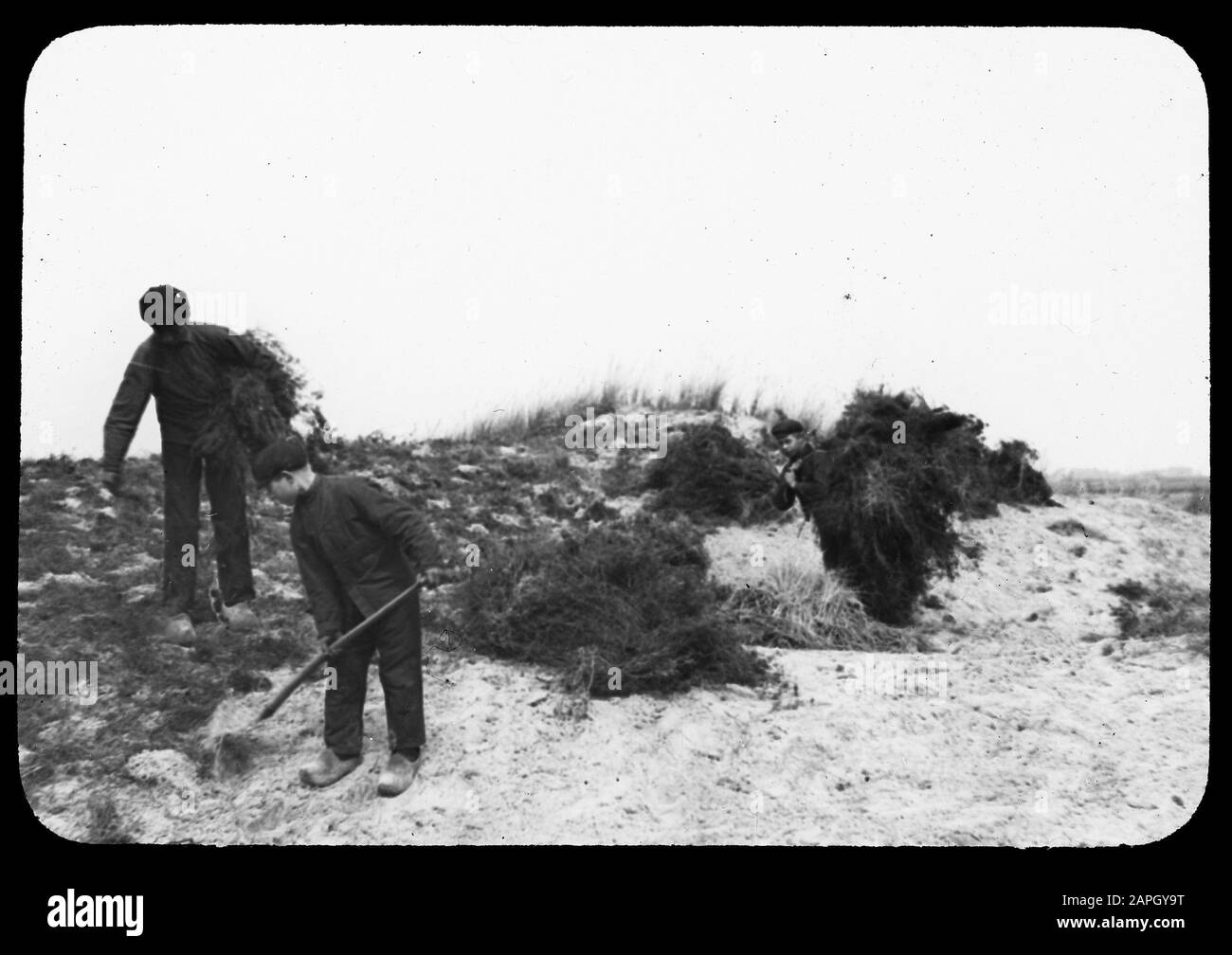 Copertina di sabbia Data: Parole Chiave dense: Dune, bellezza naturale salvata, terre selvagge Foto Stock