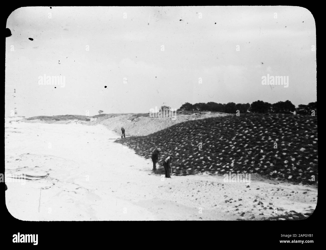 Copertina di sabbia Data: Parole Chiave dense: Dune, bellezza naturale salvata, terre selvagge Foto Stock