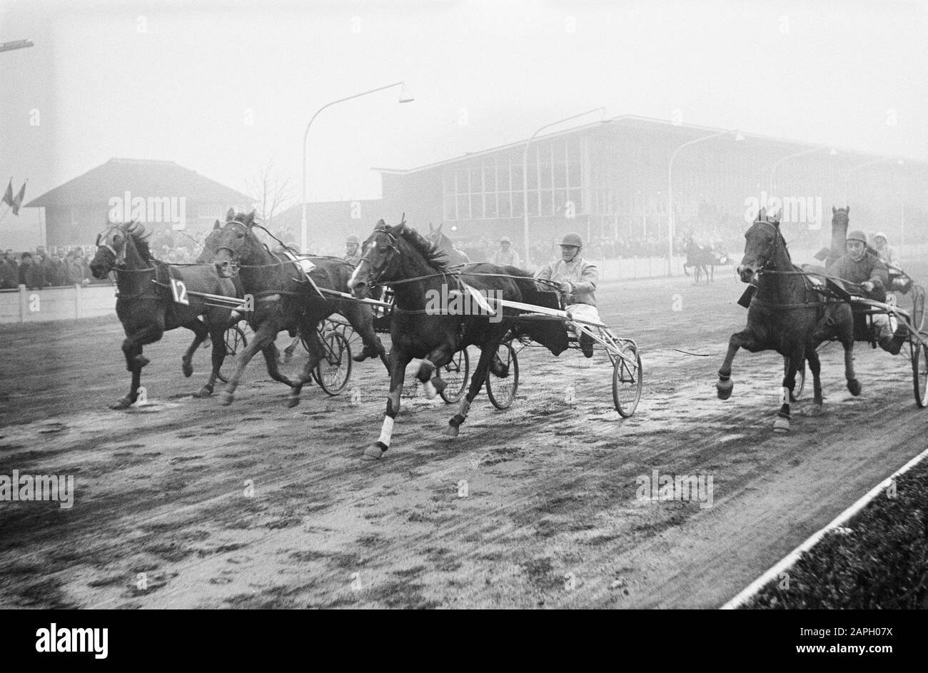 Corsi a Hilversum. Termina ogni 12 ore di prezzo. Weerlicht (3), Walnut Hall (2), Yell (1) e Witvoet (4) Data: 27 Dicembre 1963 luogo: Hilversum Parole Chiave: Finish, horse racing Foto Stock