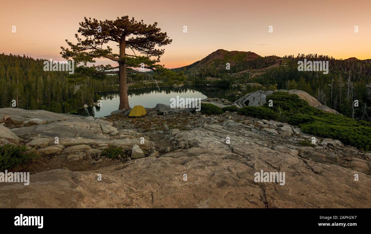 Alba in tenda situata nella Sierra Nevada vicino Island Lake, California, con una tenda gialla sul terreno accidentato e luce calda, per illustrare t Foto Stock