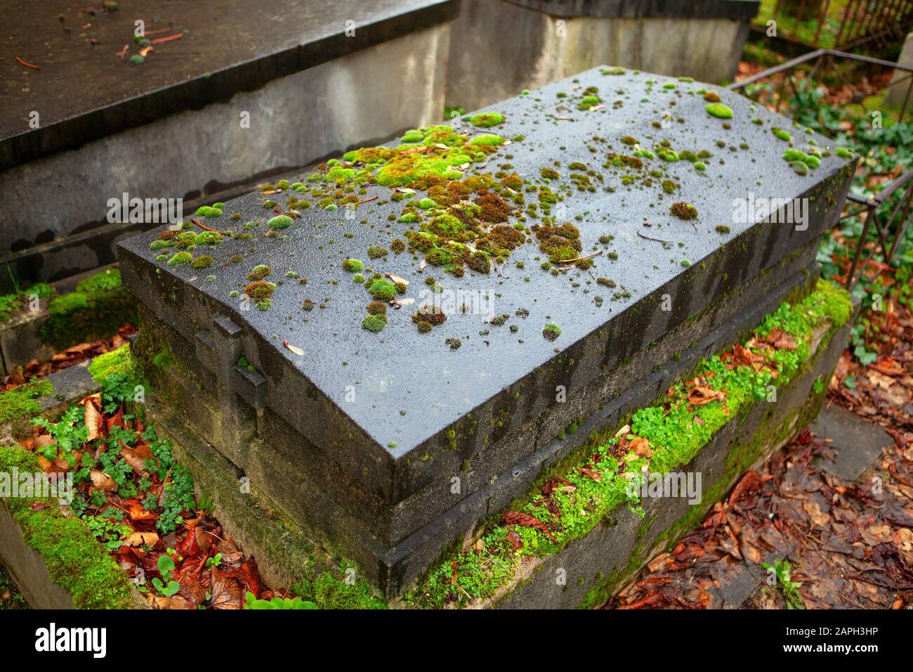 antica tomba di pietra coperta da muschio Foto Stock