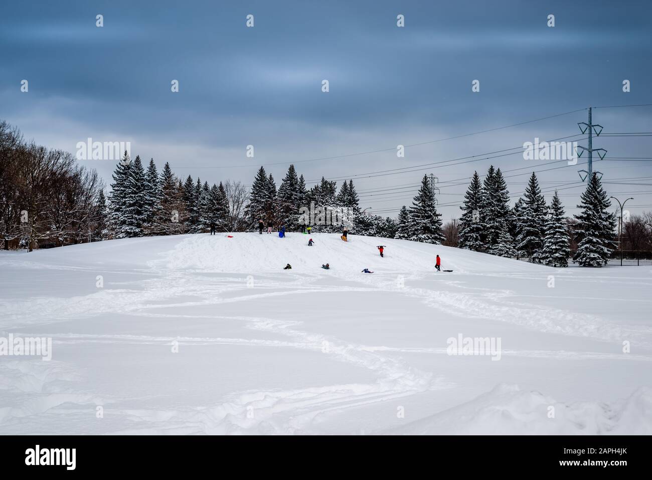 Parco della città Foto Stock