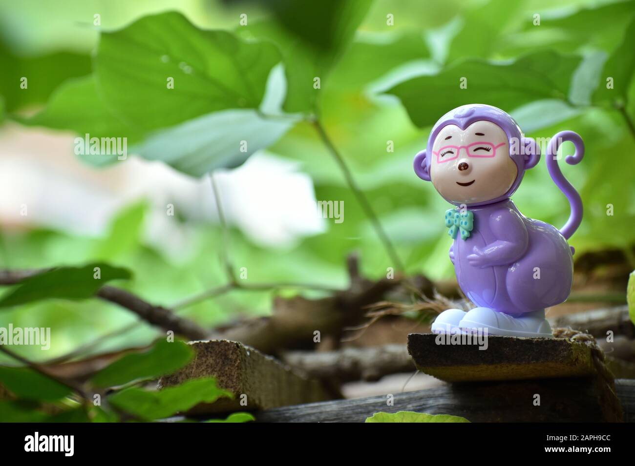 Ritratto di un giocattolo sorridente di scimmia con sfondo verdastro e foglie sfocate Foto Stock