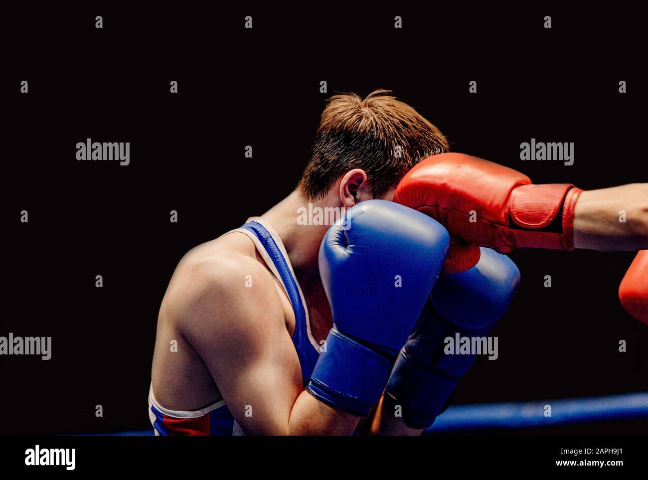 primo piano jab sinistra per testa in boxing match Foto Stock