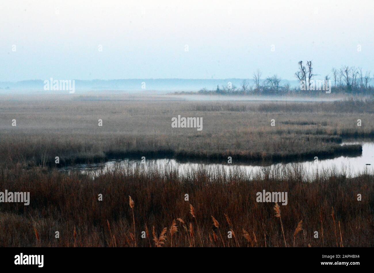 Campo gelido Foto Stock