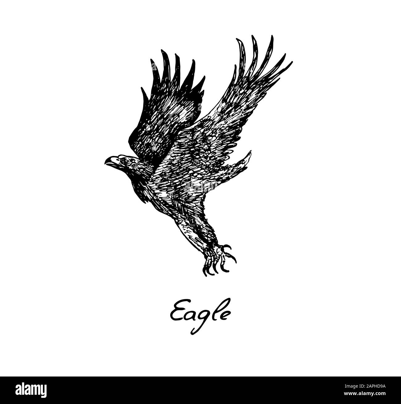 Vista laterale Eagle flying, con iscrizione, doodle disegnato a mano, schizzo in stile vintage, illustrazione Foto Stock