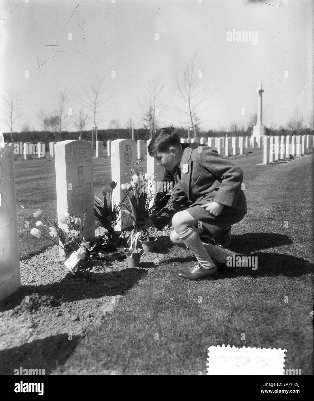 Visita dei bambini britannici nel nostro paese, il cui padre è morto qui durante la seconda guerra mondiale Lunedì i bambini hanno visitato le tombe dei loro padri in varie città e villaggi dei Paesi Bassi. Un ragazzo britannico depone fiori sulla tomba di suo padre [G.E. Joseph] a Nijmegen Data: 17 aprile 1955 luogo: Nijmegen Parole Chiave: Cimiteri, fiori, tombe, bambini, Seconda guerra mondiale Nome personale: Joseph Foto Stock