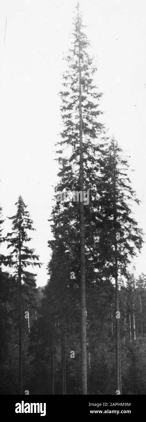 Selvicoltura, estero, clima, terra, elitespar Data: Parole Chiave non date: Selvicoltura, estero, terra, clima Nome personale: Elitespar Foto Stock