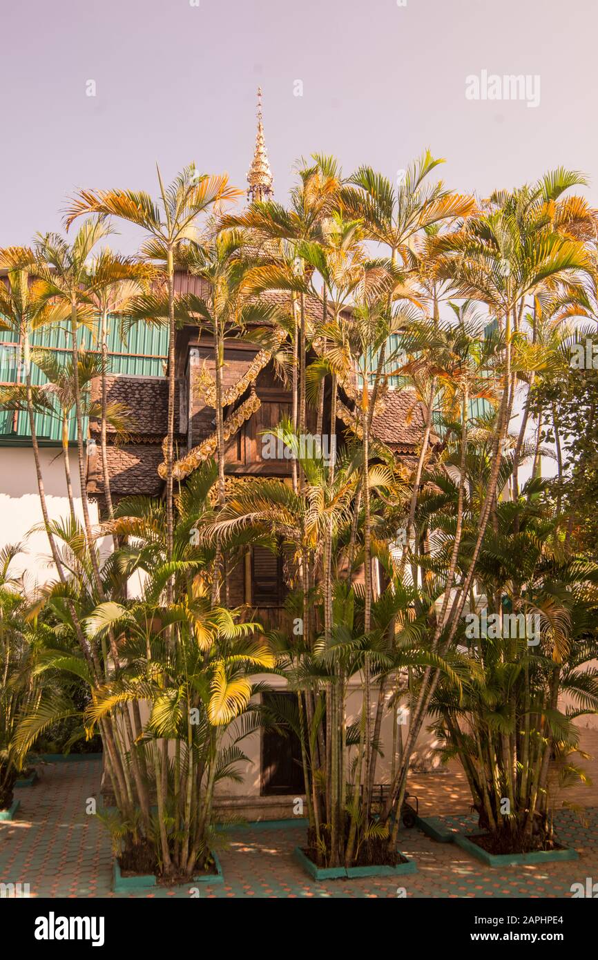 Il Wat Ou Sai Kham nella città di Chiang mai nella Thailandia del nord. Thailandia, Chiang Mai, Novembre 2019 Foto Stock