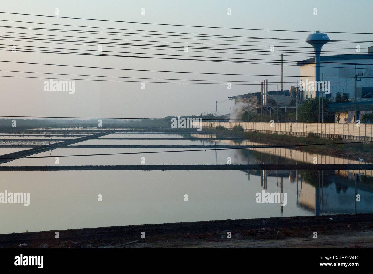 Thailandia campo di riso Foto Stock