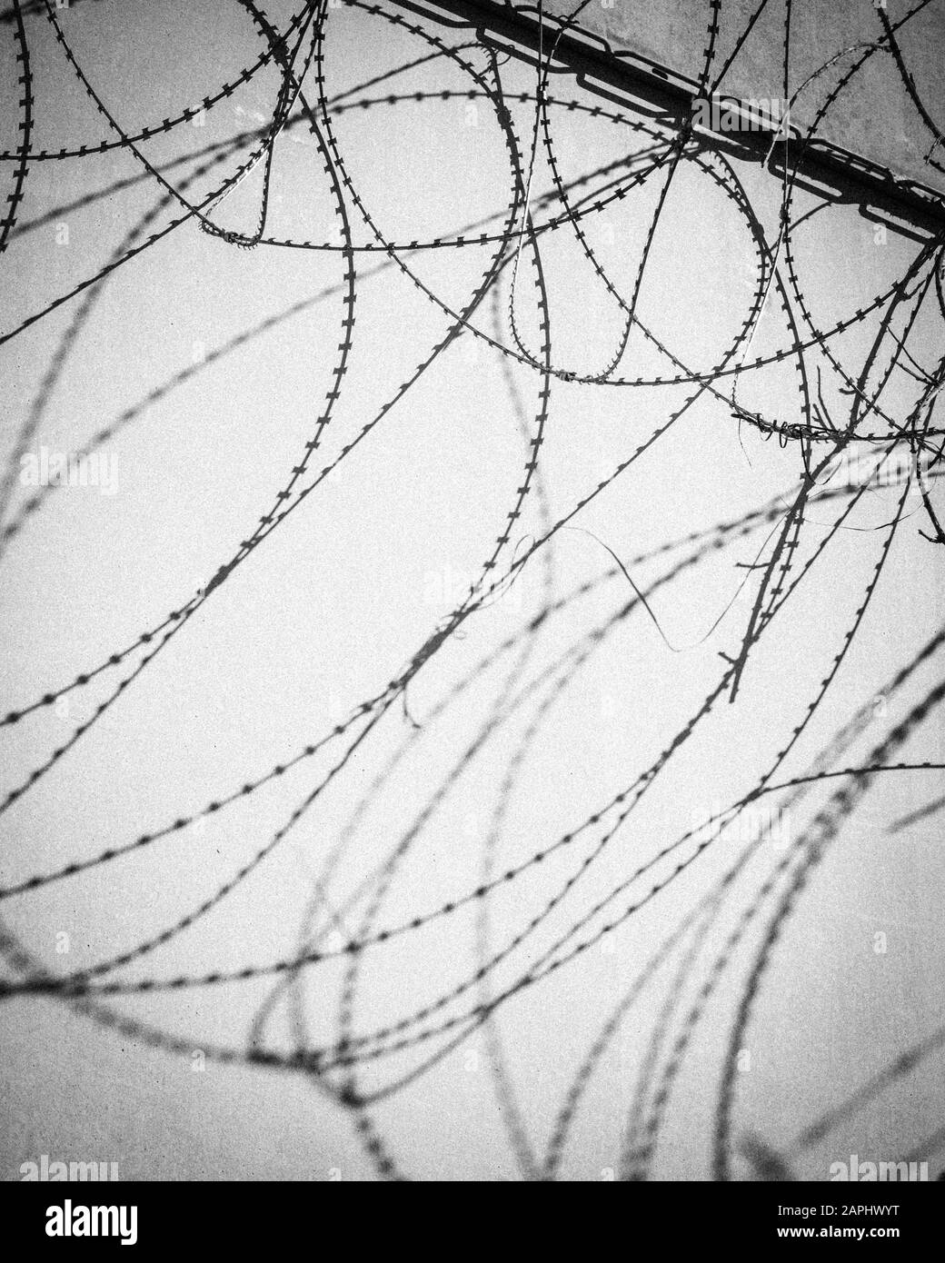 Una recinzione in filo spinato di una prigione in luce solare brillante getta ombra su un muro Foto Stock