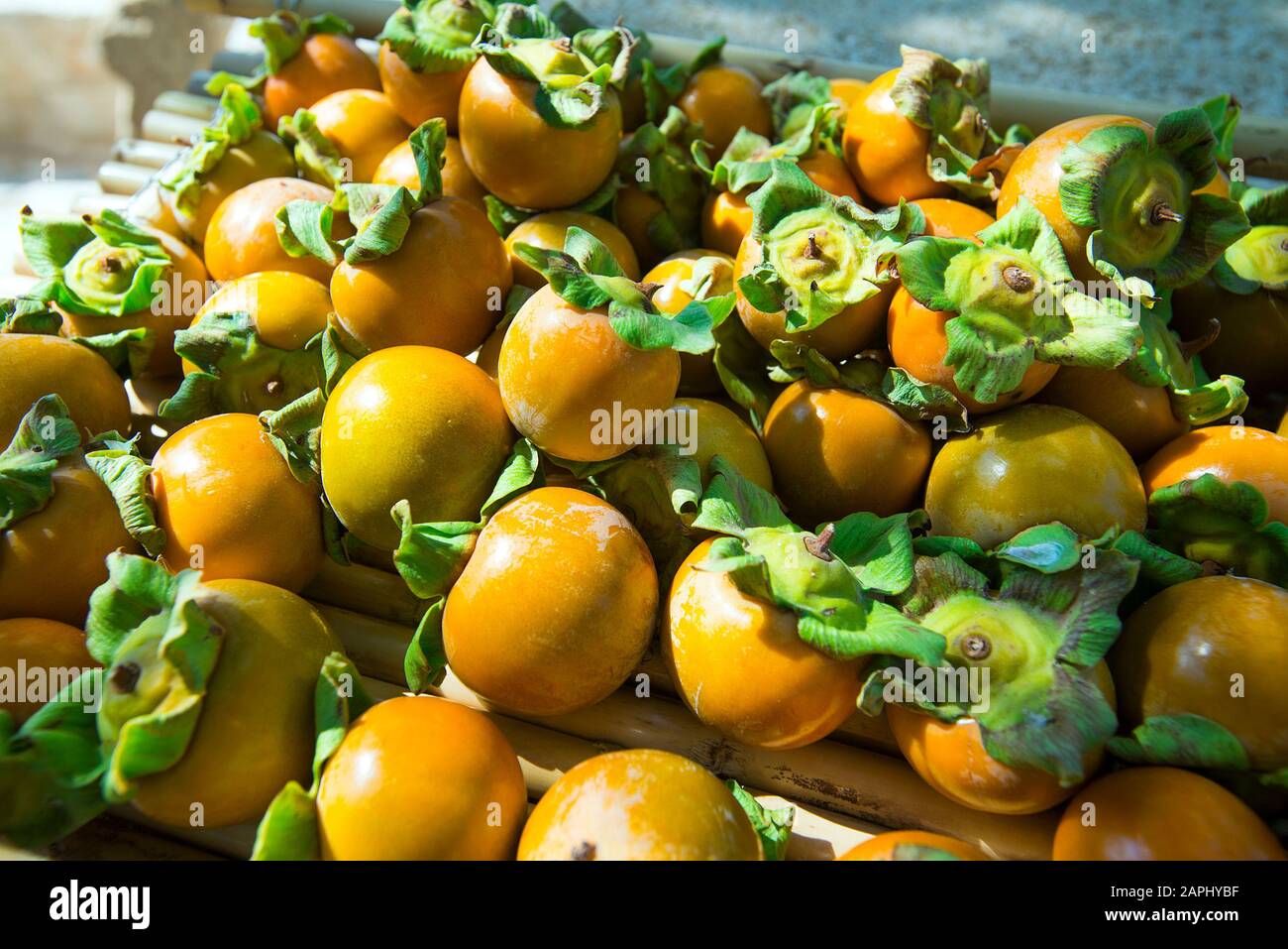 Oriental Persimmon, Puglia, Italia Foto Stock