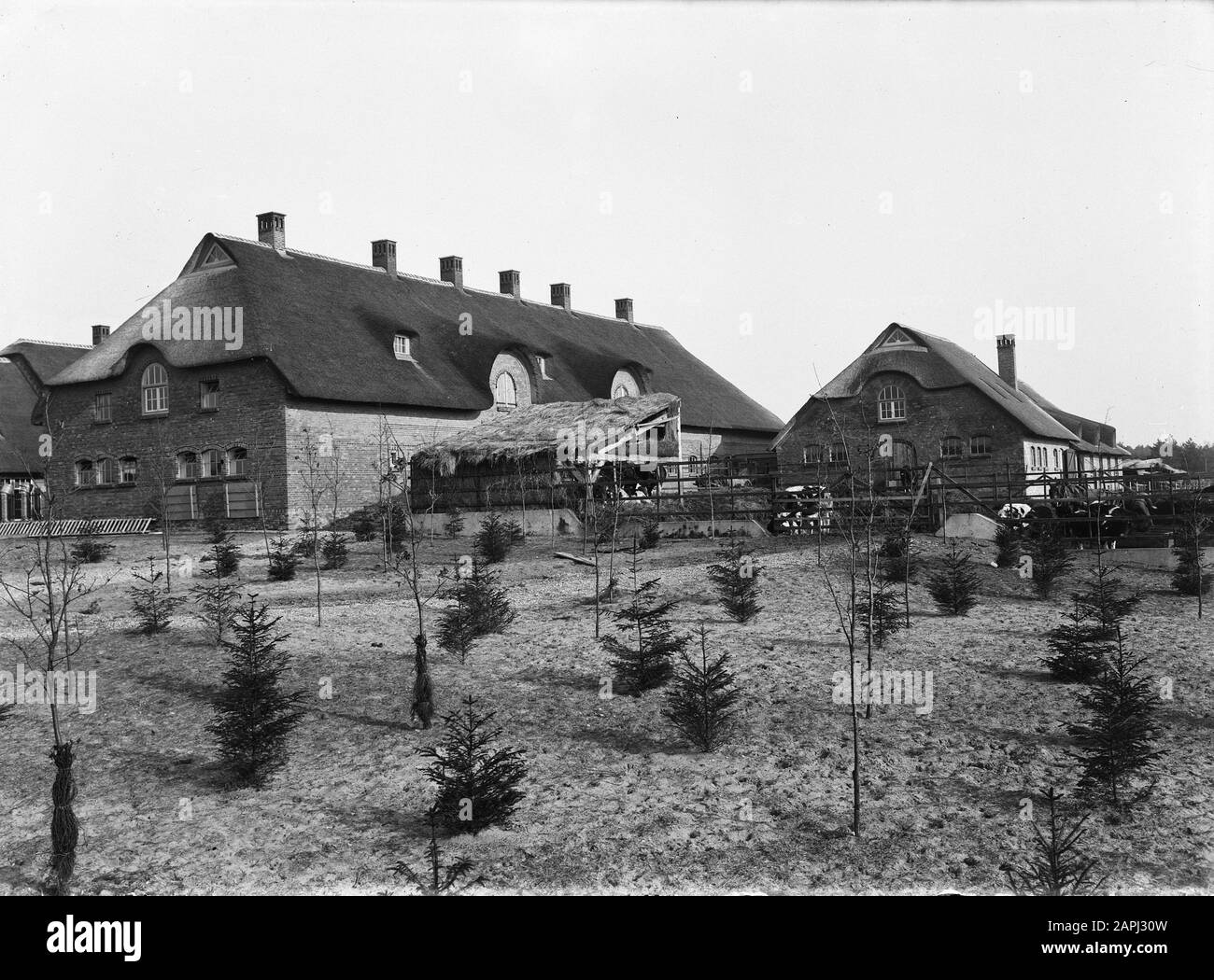 Farm on estate Dealerwoud Date: Unundated Location: EDE, Hoenderloo Keywords: Farm, Buildings Nome istituto: Nicolaashoeve Foto Stock Farm on estate Dealerwoud Date: Unundated Location: EDE, Hoenderloo Keywords: Farm, Buildings Nome istituto: Nicolaashoeve Foto Stock
