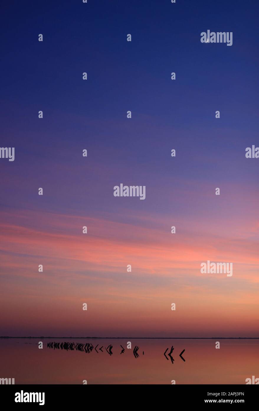 Luna di mezzaluna e crepuscolo la vigilia di Capodanno sugli stagni delle Saline di Villeneuve-lès-Maguelone (Hérault - Francia) Foto Stock