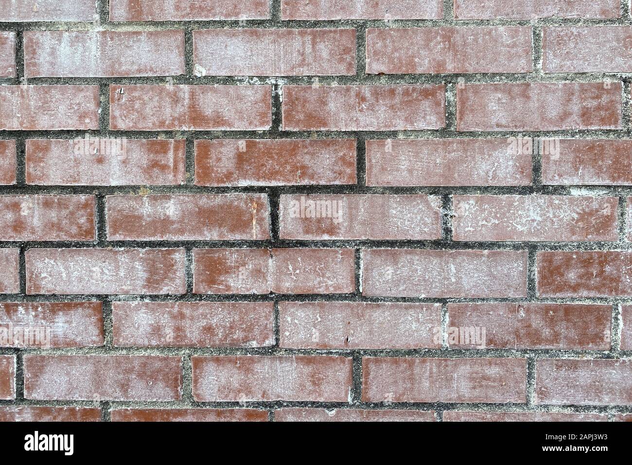 una parete di mattoni rossi color bianco sbiadito vintage Foto Stock